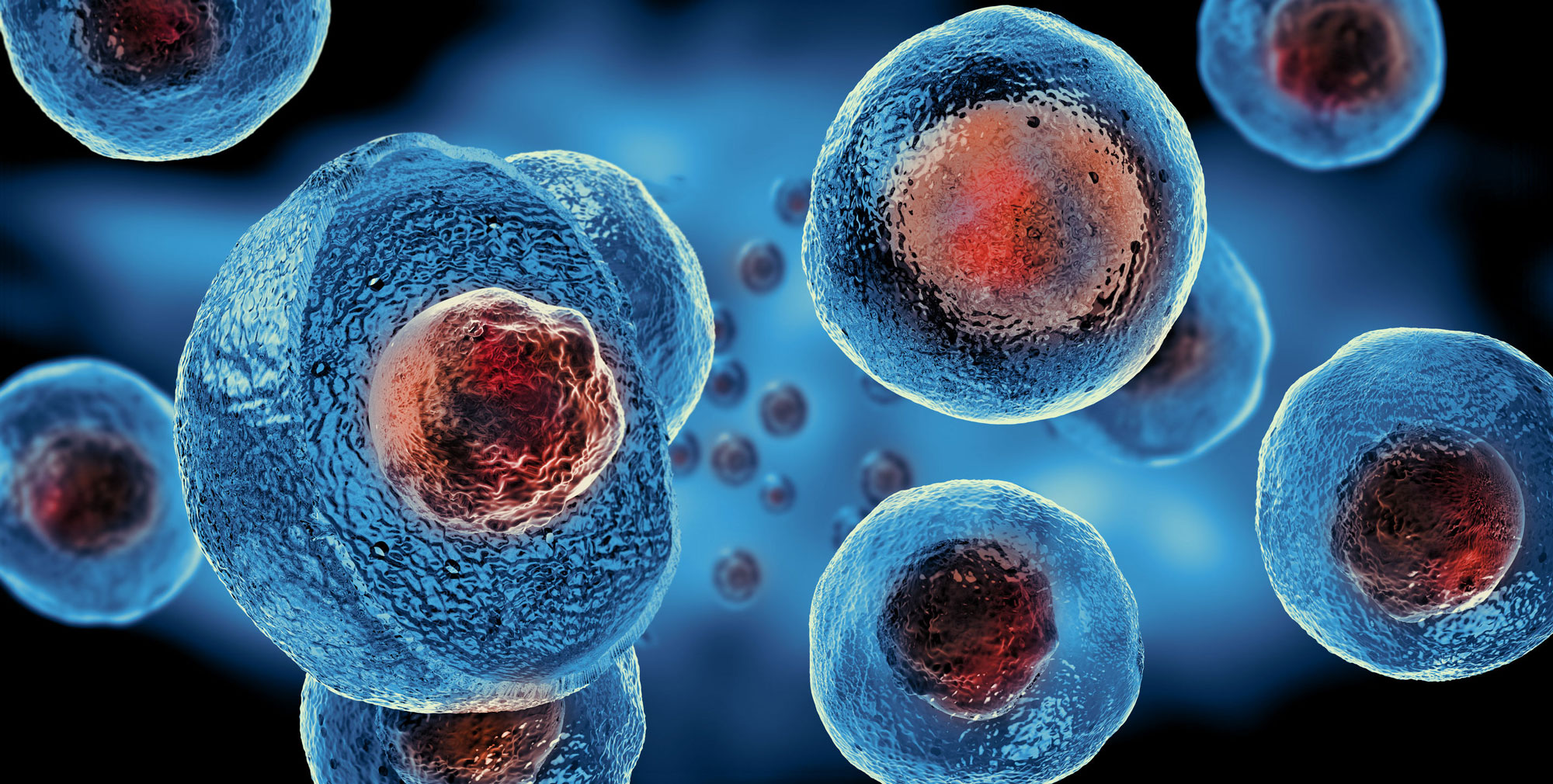 Stem Cell: The Facts You Should Know
